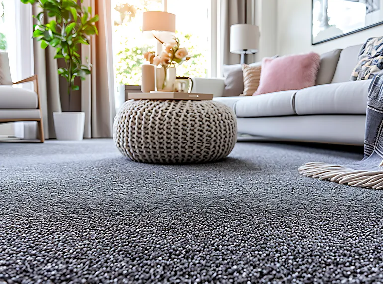 Professional Carpet Installation