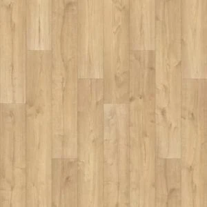 Canoe Oak