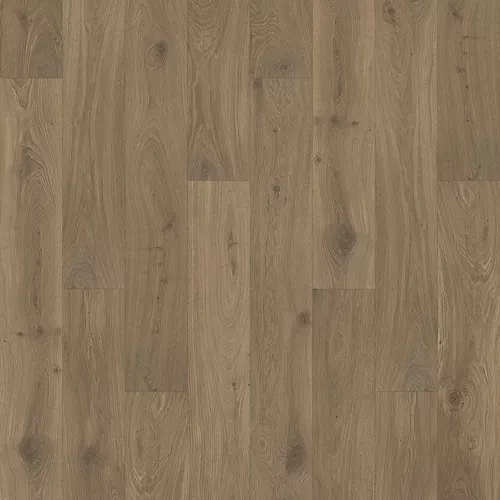 Dusk Oak