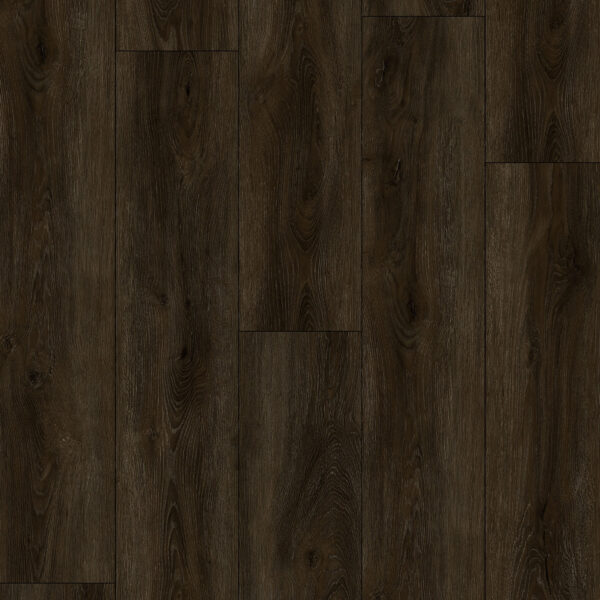 Azul Tortuga - Bringhton