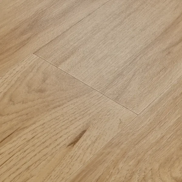 Preservation - Fossil