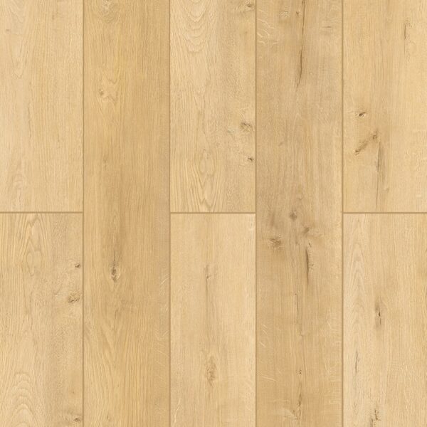 Lone Star Spirit - More Mesa