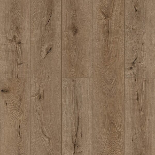 Lone Star Spirit XL - Forgotten Bark