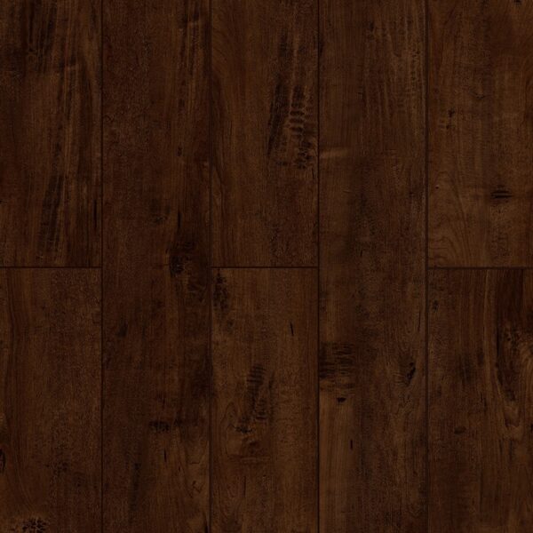 Lone Star Spirit - Saddle Brownie