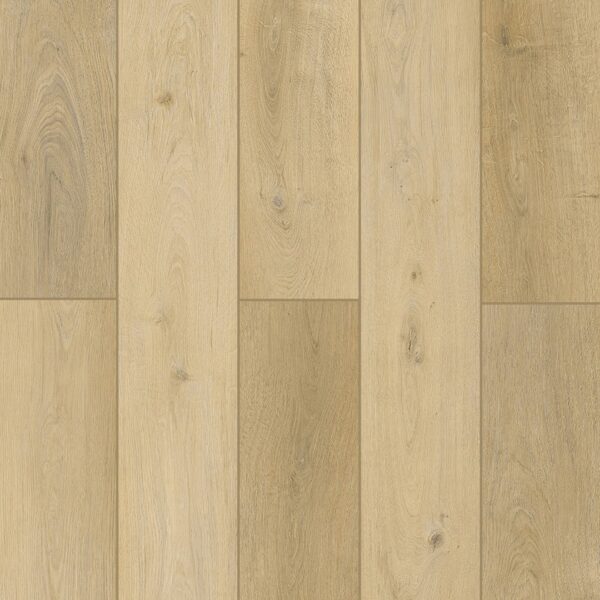 Lone Star Spirit - Sunnyside Up