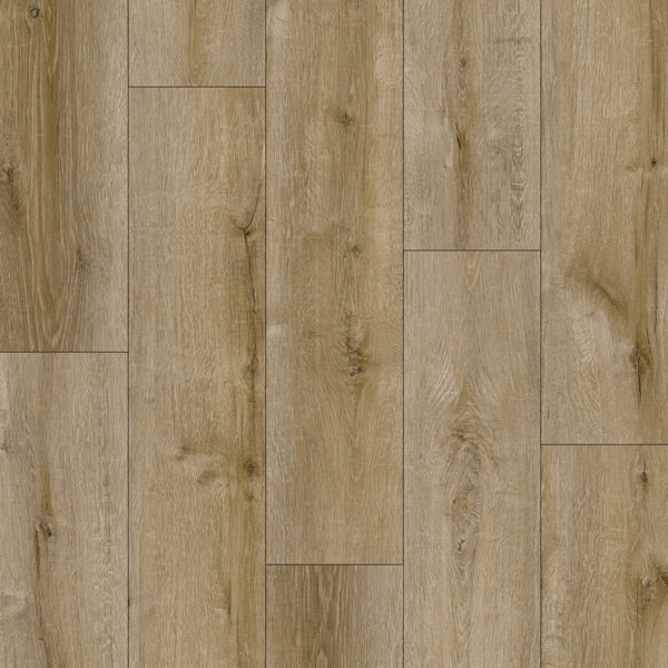 Azul Tortuga - Loredo