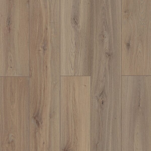 Lone Star Spirit XL - Shangri La