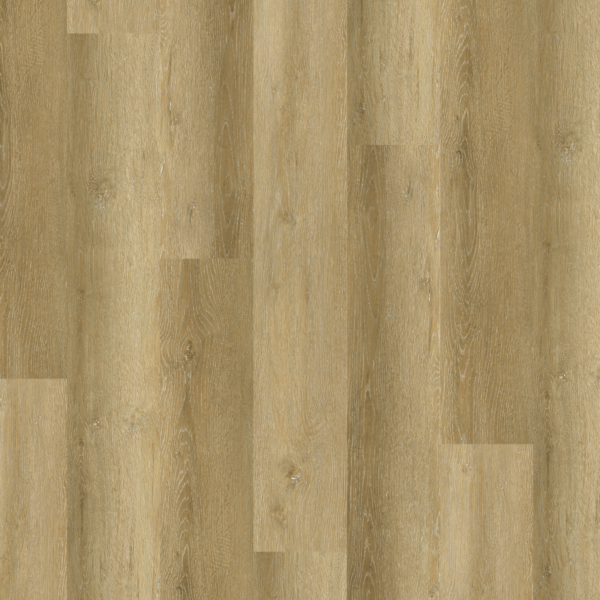 Project XL - Sebas Washed