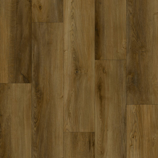 Azul Tortuga - Palomino