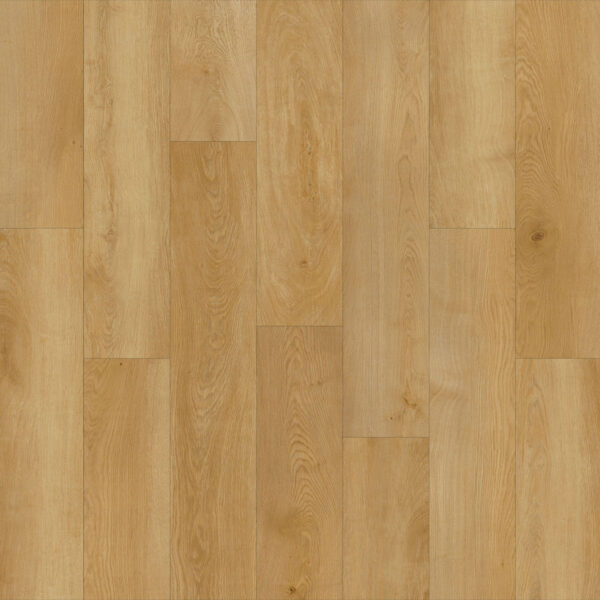 Azul Tortuga - Rehoboth