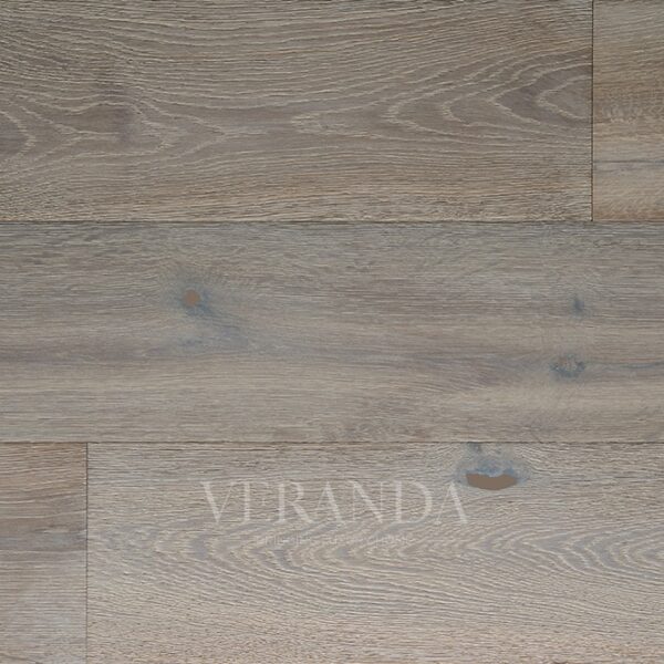 Charleston - Oyster Shell