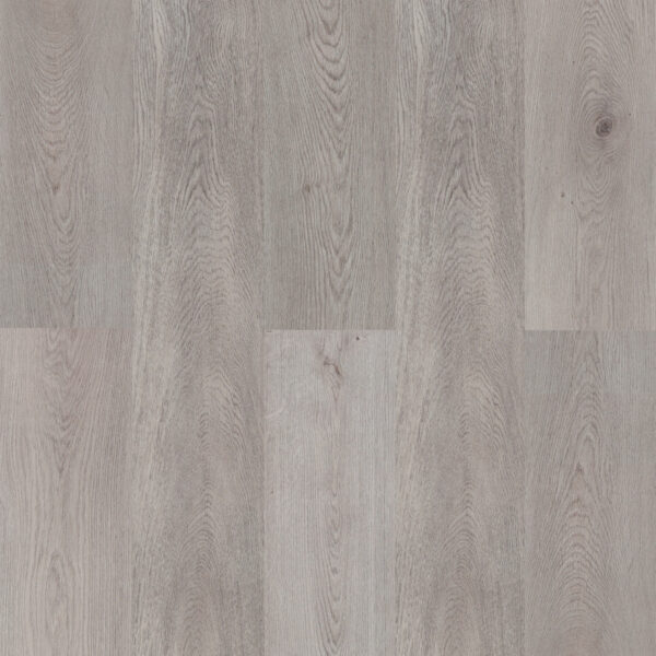 Azul Tortuga - Venice Beach