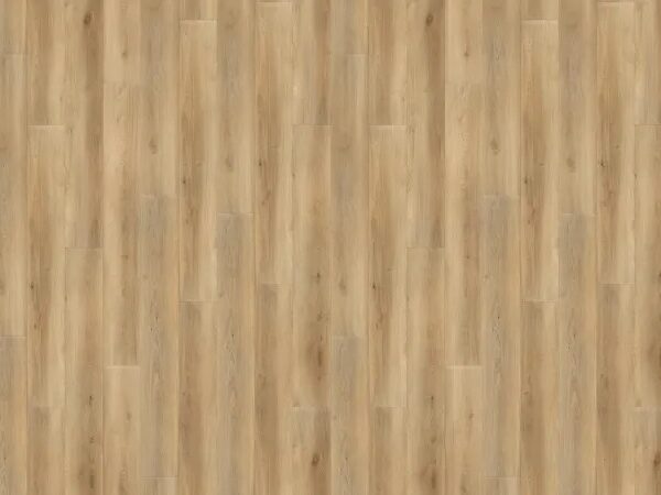 Grandeur - Canoe Mountain