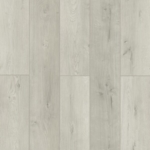 Lone Star Spirit - Almond Haze