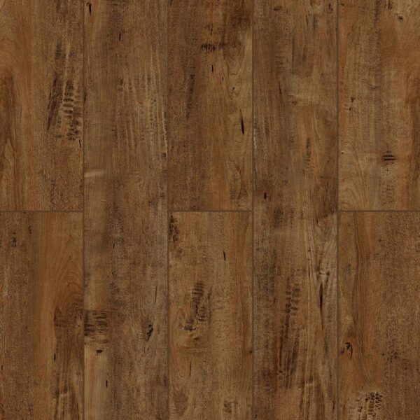 Lone Star Spirit - Chocolat