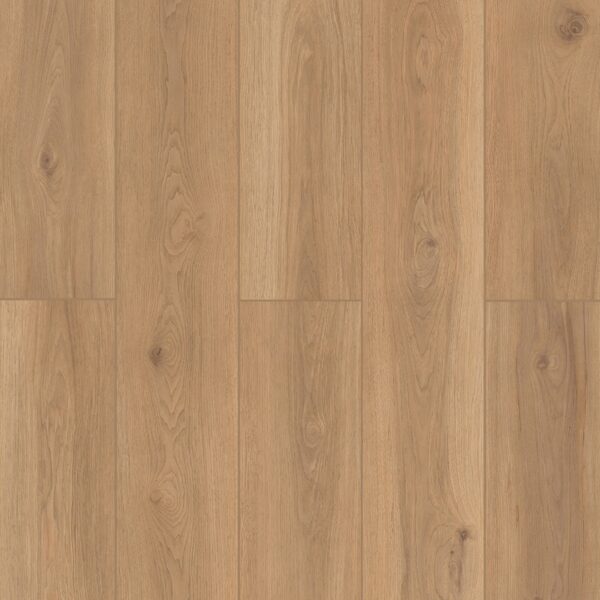 Lone Star Spirit XL - Backyard Garnish