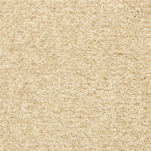 Color Festival - Bermuda Sand