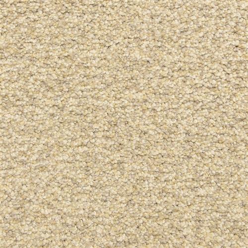 Color Festival - Moonlight