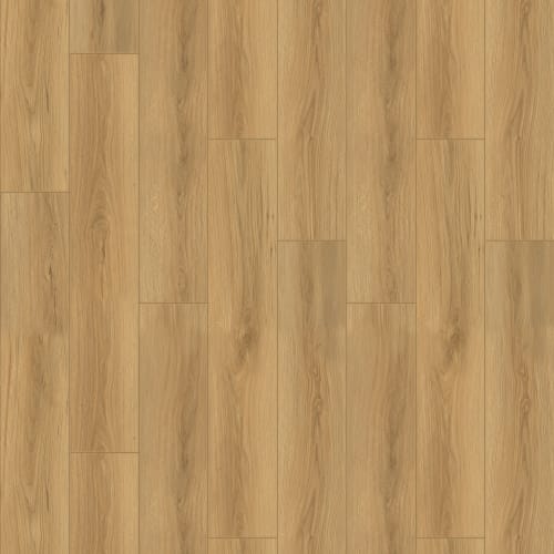 Fusion Design XL - Acadia