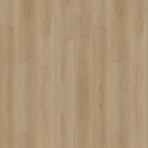 Fusion Design XL - Edgecomb