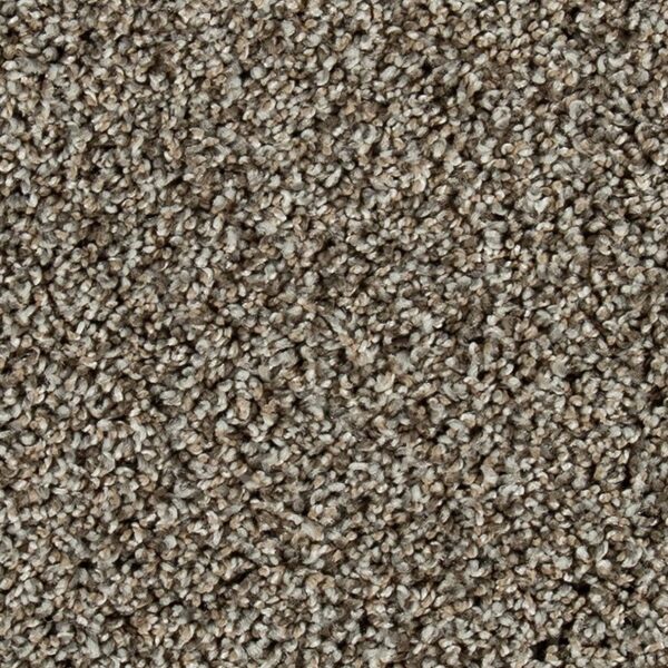 EverStrand Elite | Olympus III - Champagne