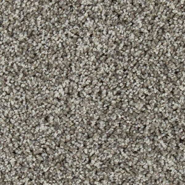 EverStrand Elite | Olympus III - Snow Path