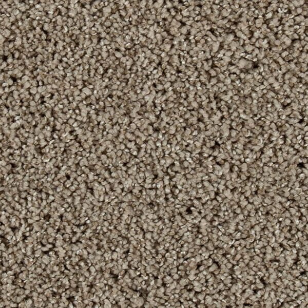 EverStrand Elite | Olympus III - Windsome