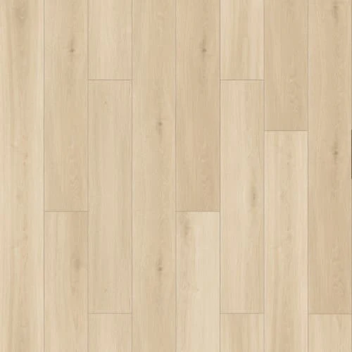 Fusion Design XL - Shoreline