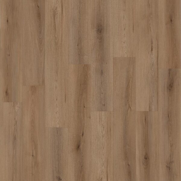 Canyon Coast - Alpine Ambiance