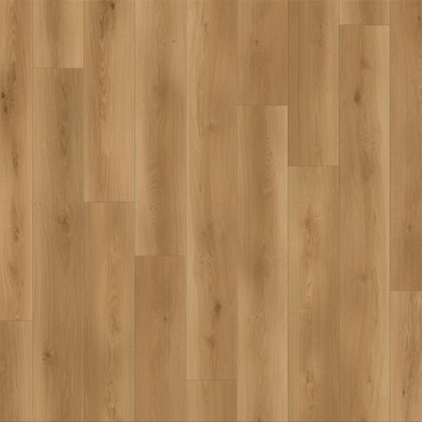 Canyon Coast - Altitude Trail