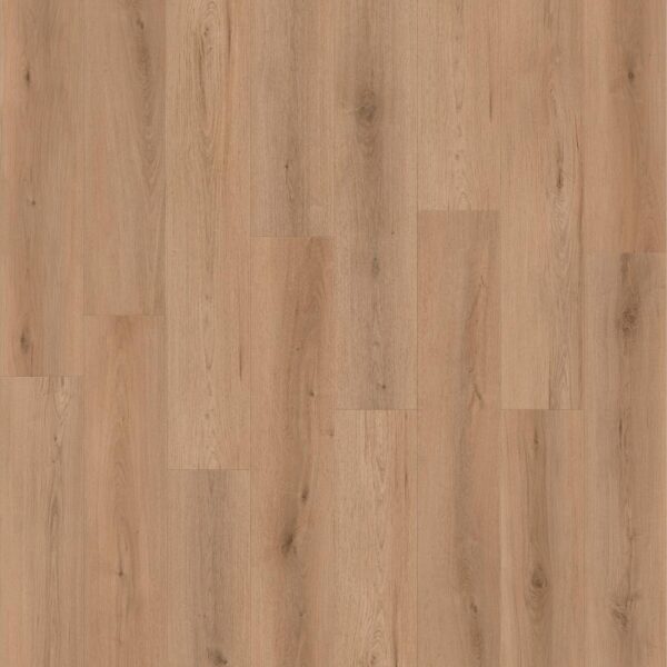 Canyon Coast - Everlasting Peaks