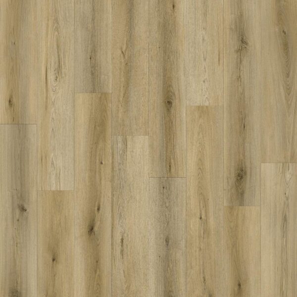 Canyon Coast - Mountain Mist