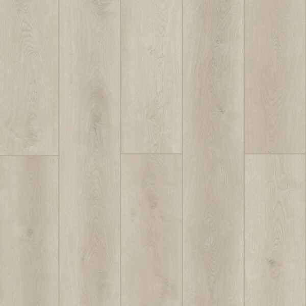 Indoor Delight - Ashen Land