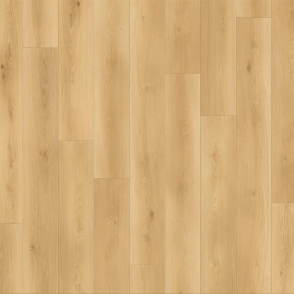 Canyon Coast - Summit Shoreline