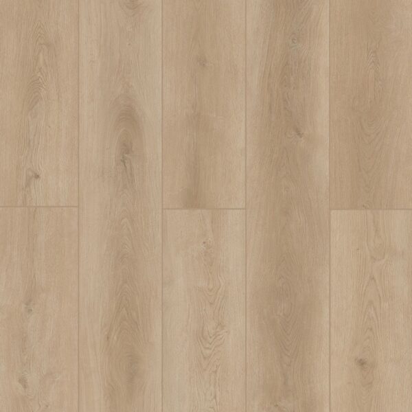 Indoor Delight - Castle Forge