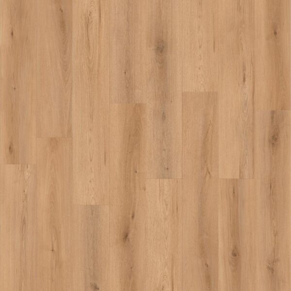 Canyon Coast - Sunset Vista