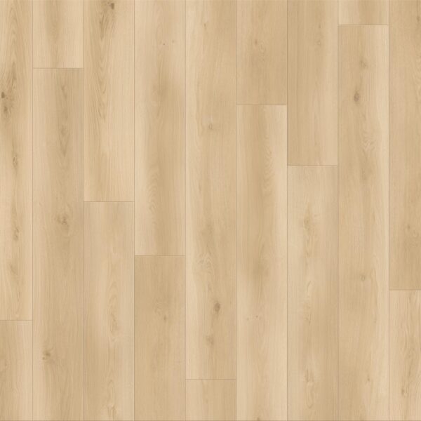 Canyon Coast - Wilderness Whispers