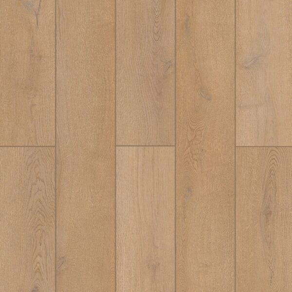 Indoor Delight - Farmstead