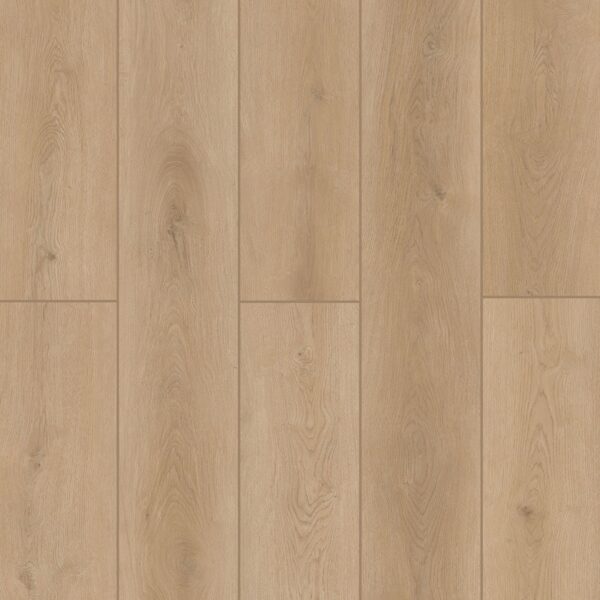 Indoor Delight - Forest Timber