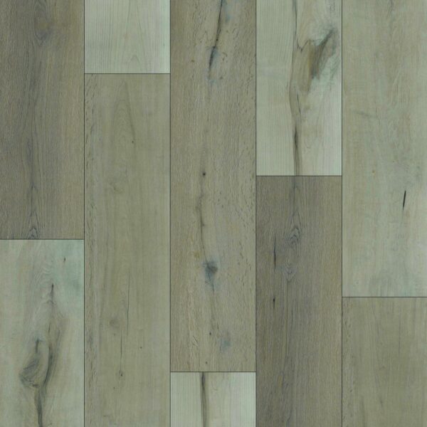 XPL Organics - Coconut