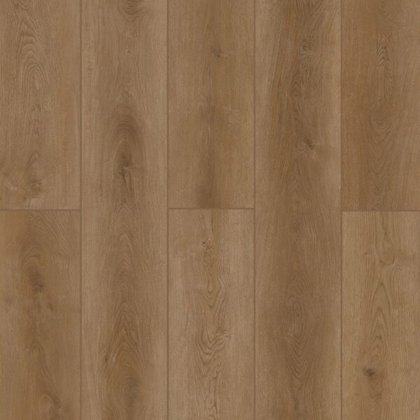 Indoor Delight - Fortress Dawn