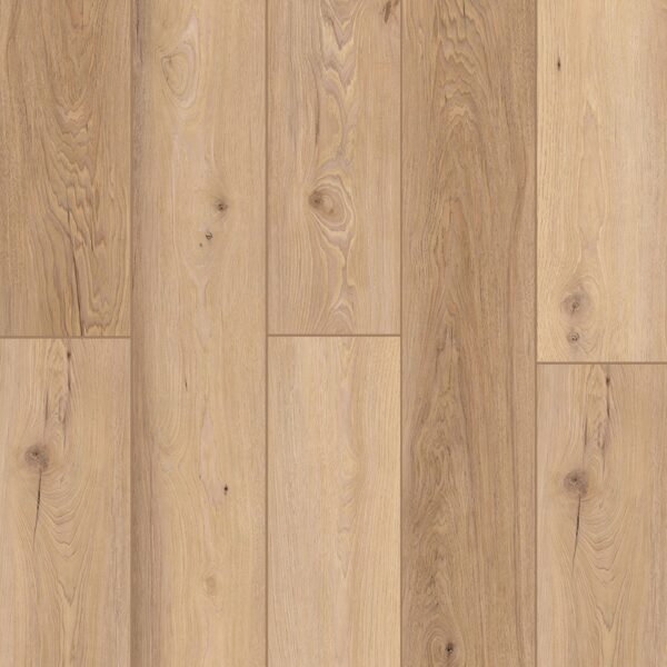 Indoor Delight - Homewood Waltz