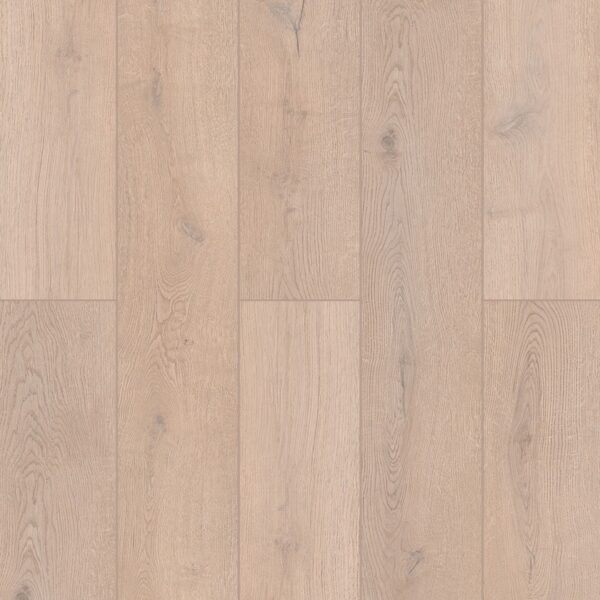 Indoor Delight - Lotus Clove