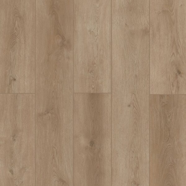 Indoor Delight - Peacock Flush