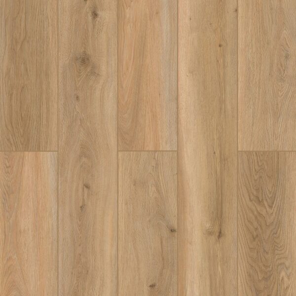 Indoor Delight - Shorelline Décor