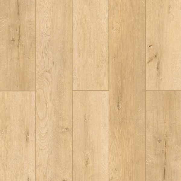 Indoor Delight - Woodland Charm