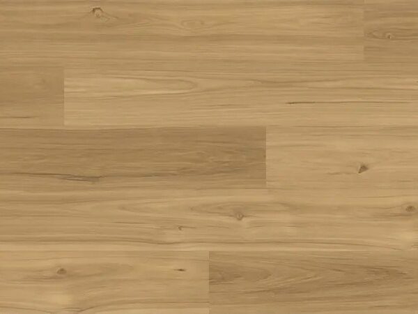 Matriarch - Gretchen