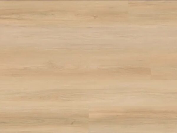 Matriarch - Charlotte