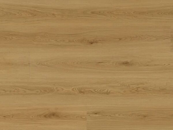 Matriarch - Isabella