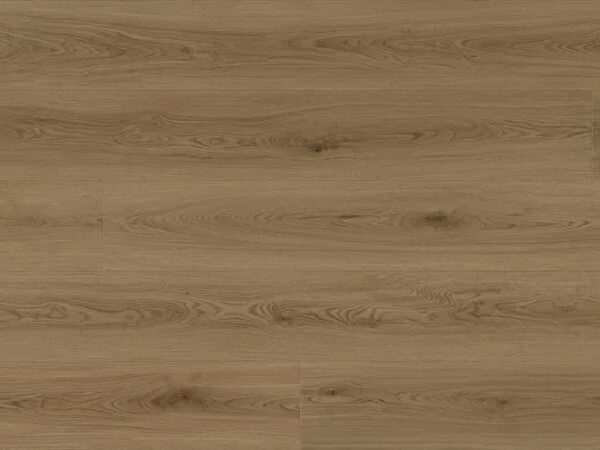 Matriarch - Katherine